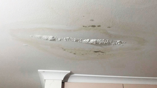 ceiling repair water damage