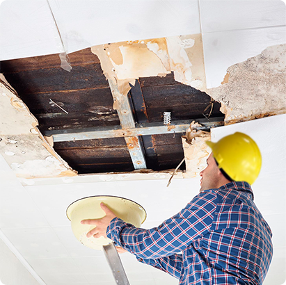 Water Damage Ceiling Repair Services